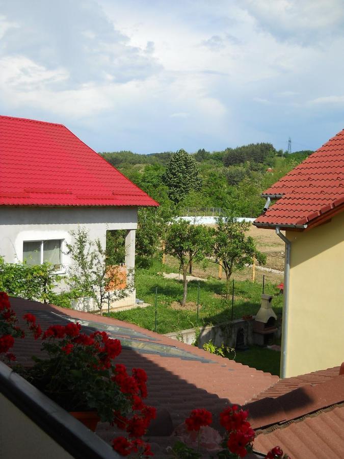 Casa Domneasca Hotel Curtea De Arges Room photo
